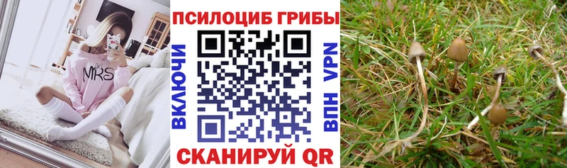 Галлюциногенные грибы прущие грибы  Азнакаево 