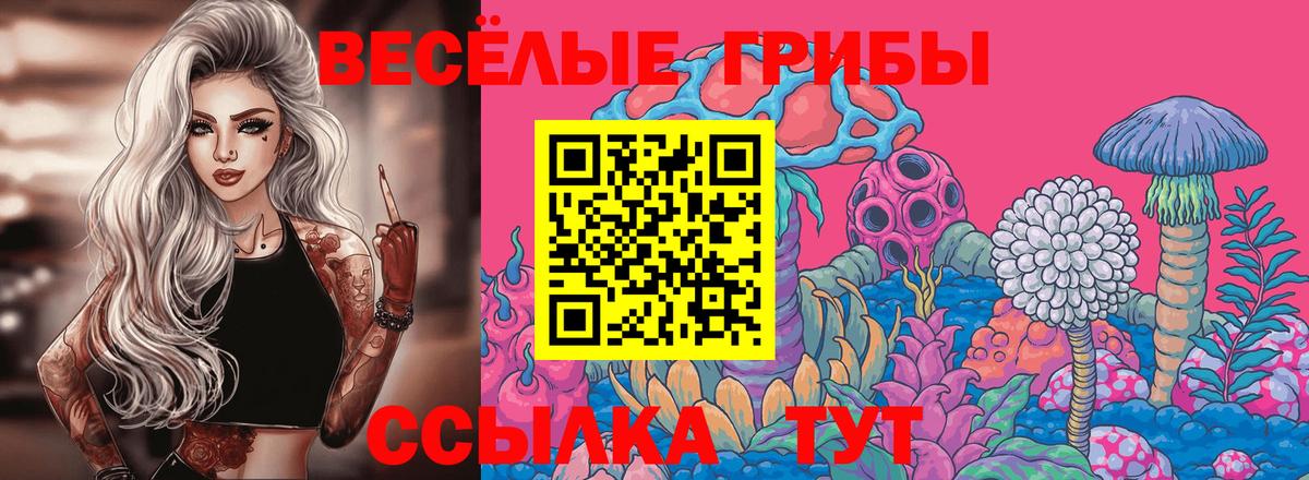 Азнакаево  Галлюциногенные грибы мицелий  Вход с VPN  Псилоцибиновые грибы Psilocybine cubensis 