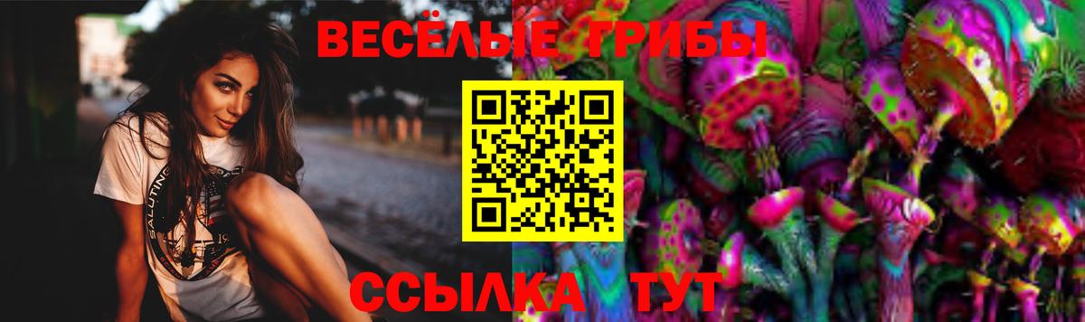 Псилоцибиновые грибы мухоморы Азнакаево